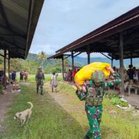 Dorong Pertumbuhan Ekonomi Petani Papua, Satgas Yonif 641/Bru Borong Hasil Tani di Pasar Apalapsili