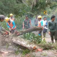 Cegah Bencana! TNI dan Perhutani Kompak Amankan Jalan Trenggalek-Bendungan