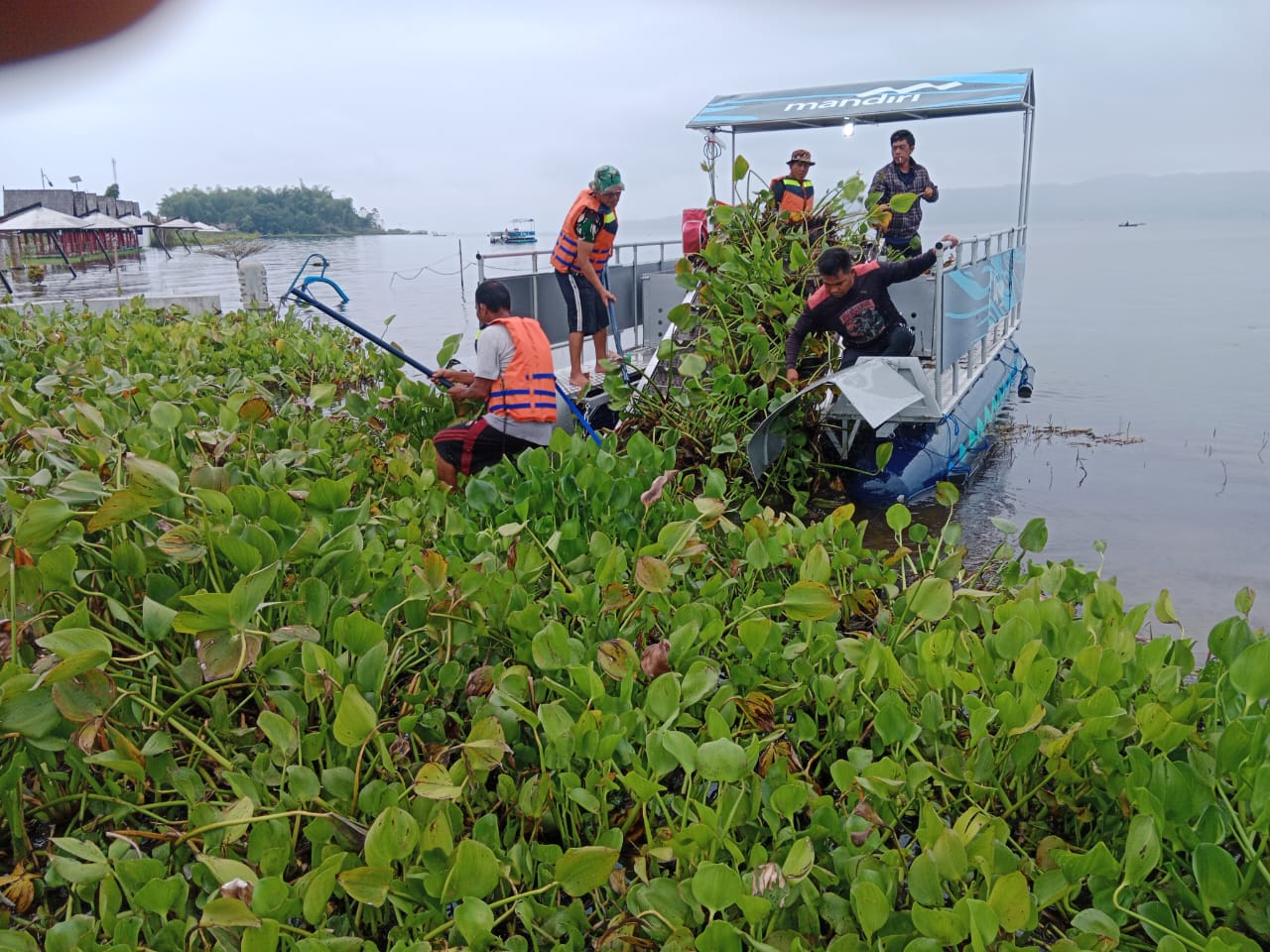 Prajurit Kodim 0210/TU Bersama Masyarakat Bersihkan Eceng Gondok di Kawasan Danau Toba