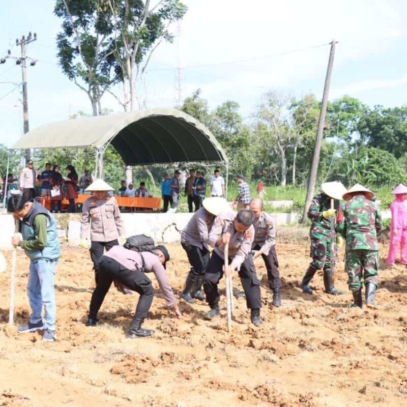 Gelorakan Swasembada Pangan Wakapolres Pamekasan Pimpin Penanaman Jagung di Pagantenan