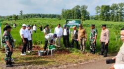 Rehabilitasi Hutan Dan Lahan Secara Masif, Kodim Probolinggo Dukung Gerakan Tanam Pohon Serentak