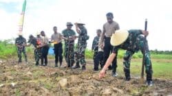 Dandenma Pasmar 3, Hadiri Penanaman Jagung Serentak 1 Juta Hektar