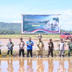 Kadispotdirga Lanud Sultan Hasanuddin Hadiri Penanaman Padi Serentak Yang Dipimpin Presiden RI