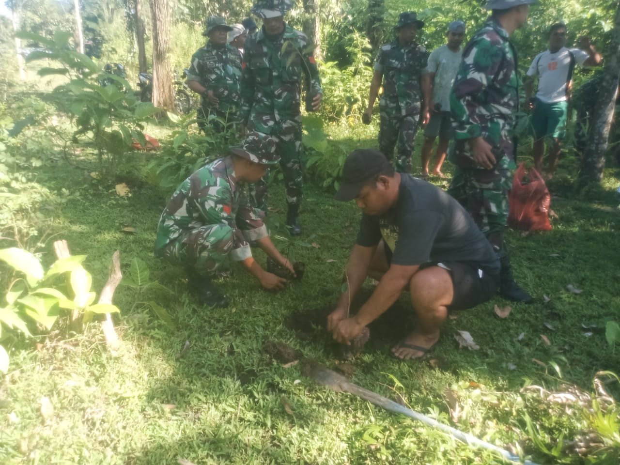 Koramil 1505/Sofifi dan Warga Hijaukan Tidore Lewat Penanaman Bibit Buah