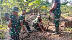 Peduli Lingkungan, TNI Tanam 700 Pohon Gmelina di Wasile Timur