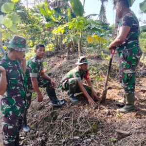 Peduli Lingkungan, TNI Tanam 700 Pohon Gmelina di Wasile Timur
