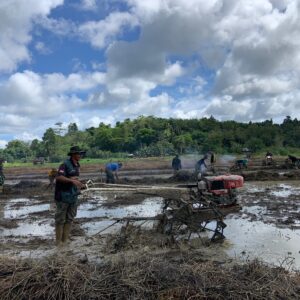 Wujudkan Program Kasad dalam Ketahanan Pangan, Satgas TMMD KE 124 Kodim 1802/ Sorong Mematangkan Lahan Pertanian