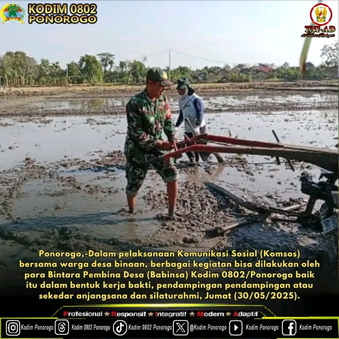 Babinsa Kodim Ponorogo Bantu Petani Olah Lahan Tanaman Padi