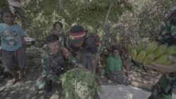 Bantu Perokonomian Petani di Papua, Satgas Yonif 715/Mtl Borong Hasil Tani