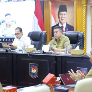 Pemerintah Minta Pemda Optimalisasi Sawah Tadah Hujan untuk Swasembada Pangan