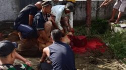 Yonmarhanlan XIV Tebar Kepedulian Lewat Kurban dan Salat Idul Adha di Sorong