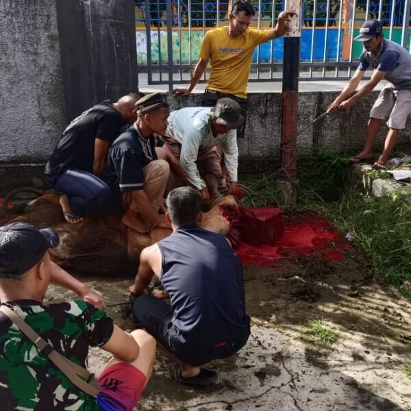 Yonmarhanlan XIV Tebar Kepedulian Lewat Kurban dan Salat Idul Adha di Sorong