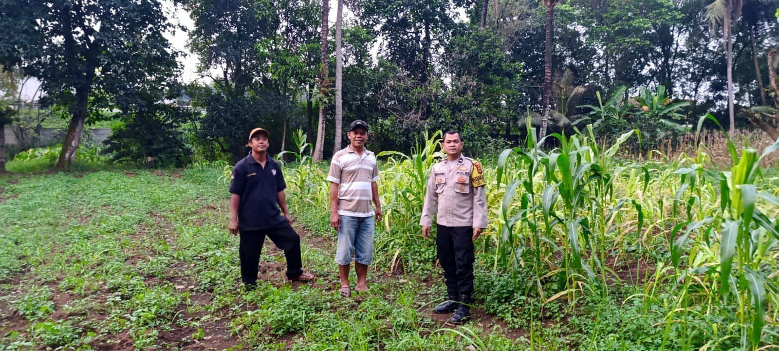 Polsek Cikupa Berperan Aktif dalam Program Ketahanan Pangan Nasional