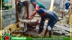 Manunggal Dengan Rakyat, Babinsa Koramil 1512-01/Weda Bantu Warga Bangun Rumah