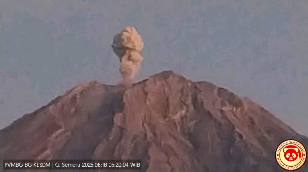 Gunung Semeru Kembali Erupsi, Kolom Abu Capai 600 Meter di Atas Puncak