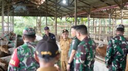 Masev Pengawasan dan Evaluasi Di Bidang Ketahanan Pangan Tinjau Kawasan Terintegrasi di Desa Cipari