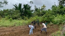 TNI dan Warga Wametkapa Bersatu Kelola Lahan Tidur untuk Ketahanan Pangan Nasional