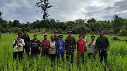 Dukung Ketahanan Pangan, Satgas Pamtas Statis Yonif 126/KC dan Warga Tinjau Perkembangan Padi Gogo