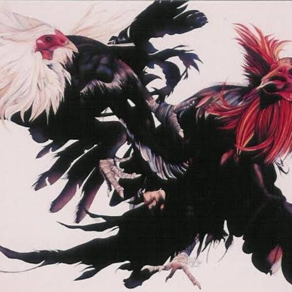 Dhony Irawan: Tegakkan Hukum Tanpa Tebang Pilih, Judi di Sukomoro Harus Ditindak Tegas