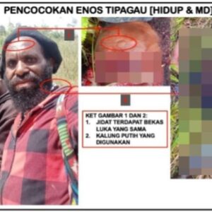 Prajurit TNI Lumpuhkan Tokoh OPM Enos Tipagau di Intan Jaya Prajurit TNI Lumpuhkan Tokoh OPM Enos Tipagau di Intan Jaya
