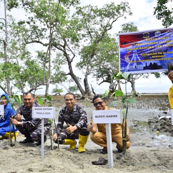 Cegah Abrasi, Satgas Trisila-25 dan Pemkab Nabire Tanam 1.000 Mangrove di Pesisir Samabusa