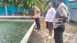 Budidaya Ikan Nila, Upaya Bhabinkamtibmas dan Warga Pehserut Dukung Ketahanan Pangan