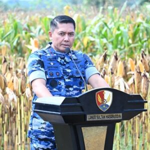 Danlanud Sultan Hasanuddin Pimpin Panen Jagung Hibrida di Lahan Binaan Lanud Seluas 53 Hektar, Dukung Ketahanan Pangan Nasional Danlanud Sultan Hasanuddin Pimpin Panen Jagung Hibrida di Lahan Binaan Lanud Seluas 53 Hektar, Dukung Ketahanan Pangan Nasional