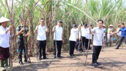Panglima TNI Kawal Langsung Panen Tebu Untuk Swasembada Gula Nasional