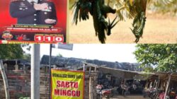 Judi Sabung Ayam Marak di Bulusari Tulungagung, Aduan Masyarakat Diabaikan, Penegakan Hukum Dipertanyakan