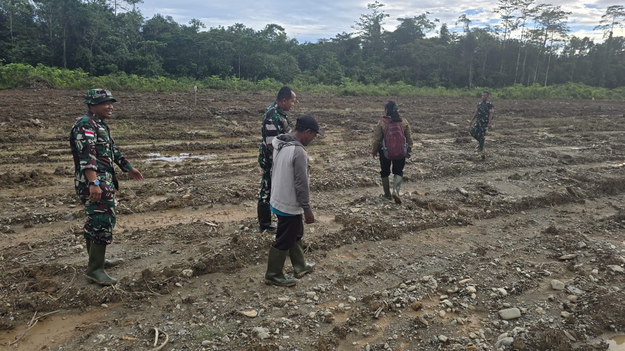 Optimalkan Program Hanpangan, Dandim 1710/Mimika Gandeng PPL dan Kelompok Petani Dalam Pemanfaatan Lahan Tidur Menjadi Lahan Produktif