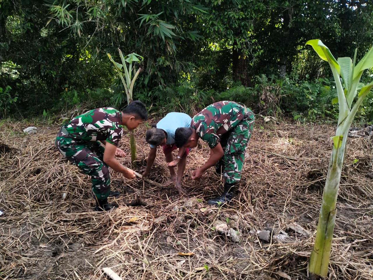Stabilkan Ketersediaan Bahan Pokok Makanan, Satgas Yonif 410/Alugoro Bantu Warga Perbatasan RI-PNG Tanam Pisang
