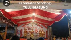 Pemdes Picisan Gelar Pentas Seni dan Campursari Setia Nada Meriahkan HUT RI ke-80