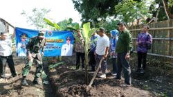 Mendukung Program Ketahanan Pangan, Kodim 0820/Probolinggo Melalui Koramil Jajaran Melakukan Penanaman Pisang