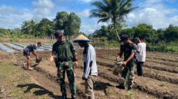Tumbuh Bersama di Perbatasan: Prajurit Kala Hitam dan Warga Kirely Semai Harapan Hijau