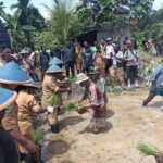 Satgas TMMD ke-126 Kodim 1810/Tambrauw dan Dinas Pertanian Tambrauw Gelar Penyuluhan dan Penanaman Padi di Distrik Yembun Satgas TMMD ke-126 Kodim 1810/Tambrauw dan Dinas Pertanian Tambrauw Gelar Penyuluhan dan Penanaman Padi di Distrik Yembun