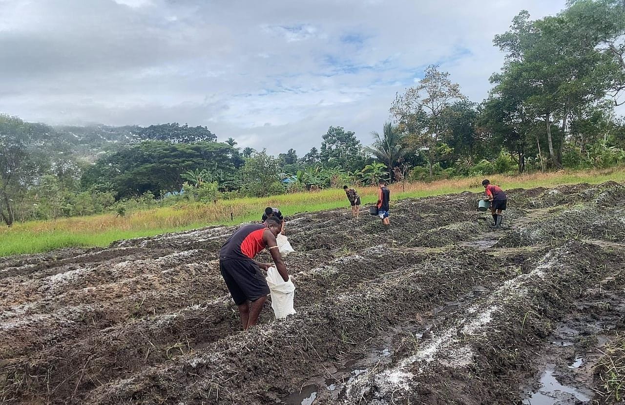 Dari Tanah Perbatasan, Tumbuh Harapan Baru: Satgas 312/KH Tanam Jagung di Rawabiru