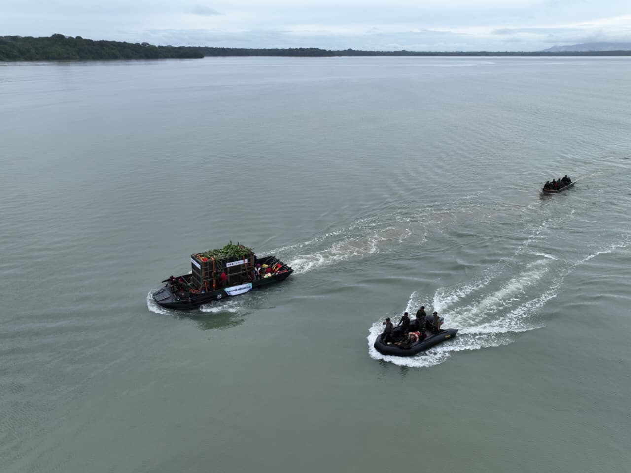 TNI Bantu Penyelamatan Badak di Taman Nasional Ujung Kulon