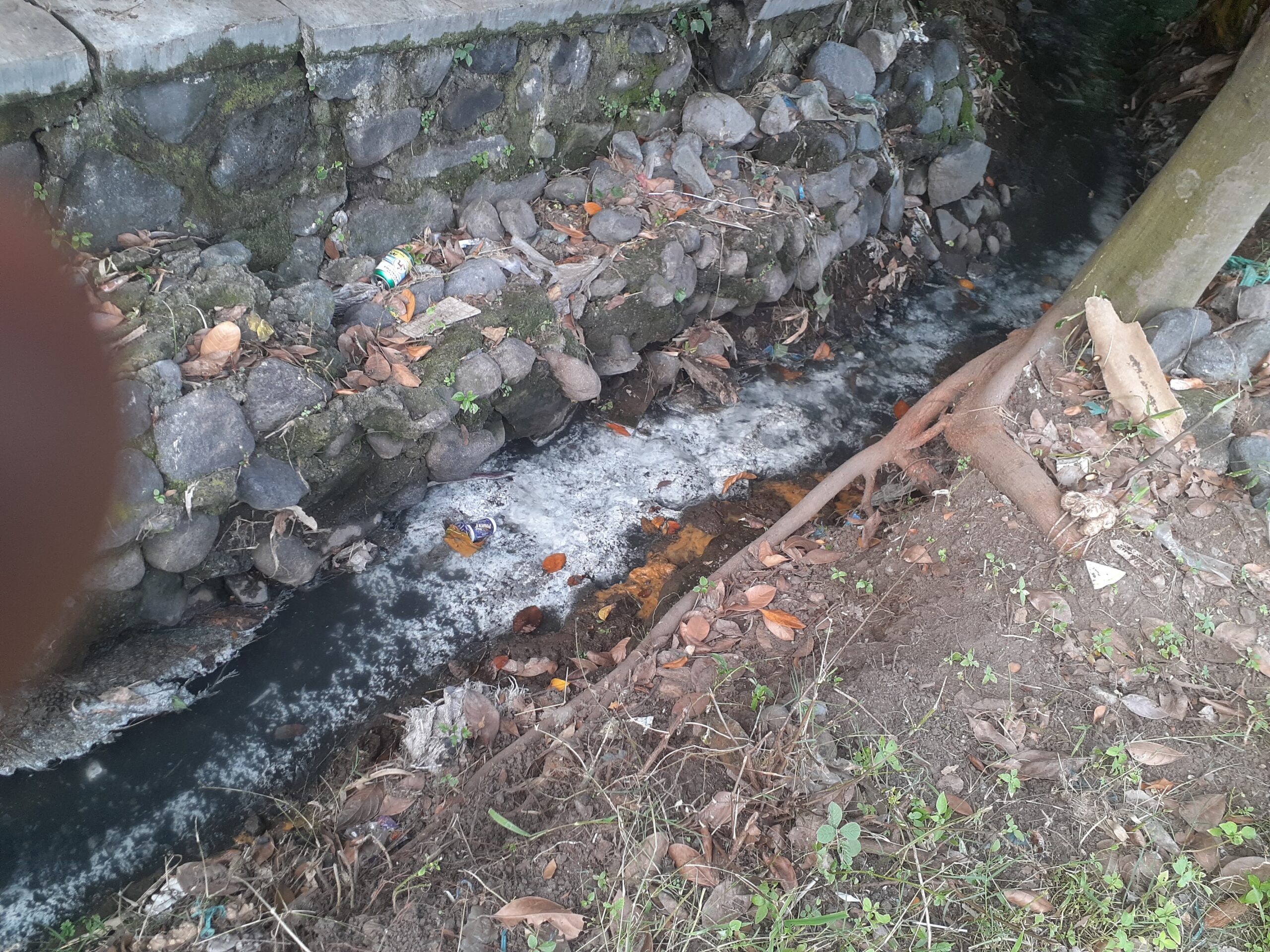 Diduga Cemari Sungai, Limbah Pabrik Tahu di Wonoasih Disorot Warga