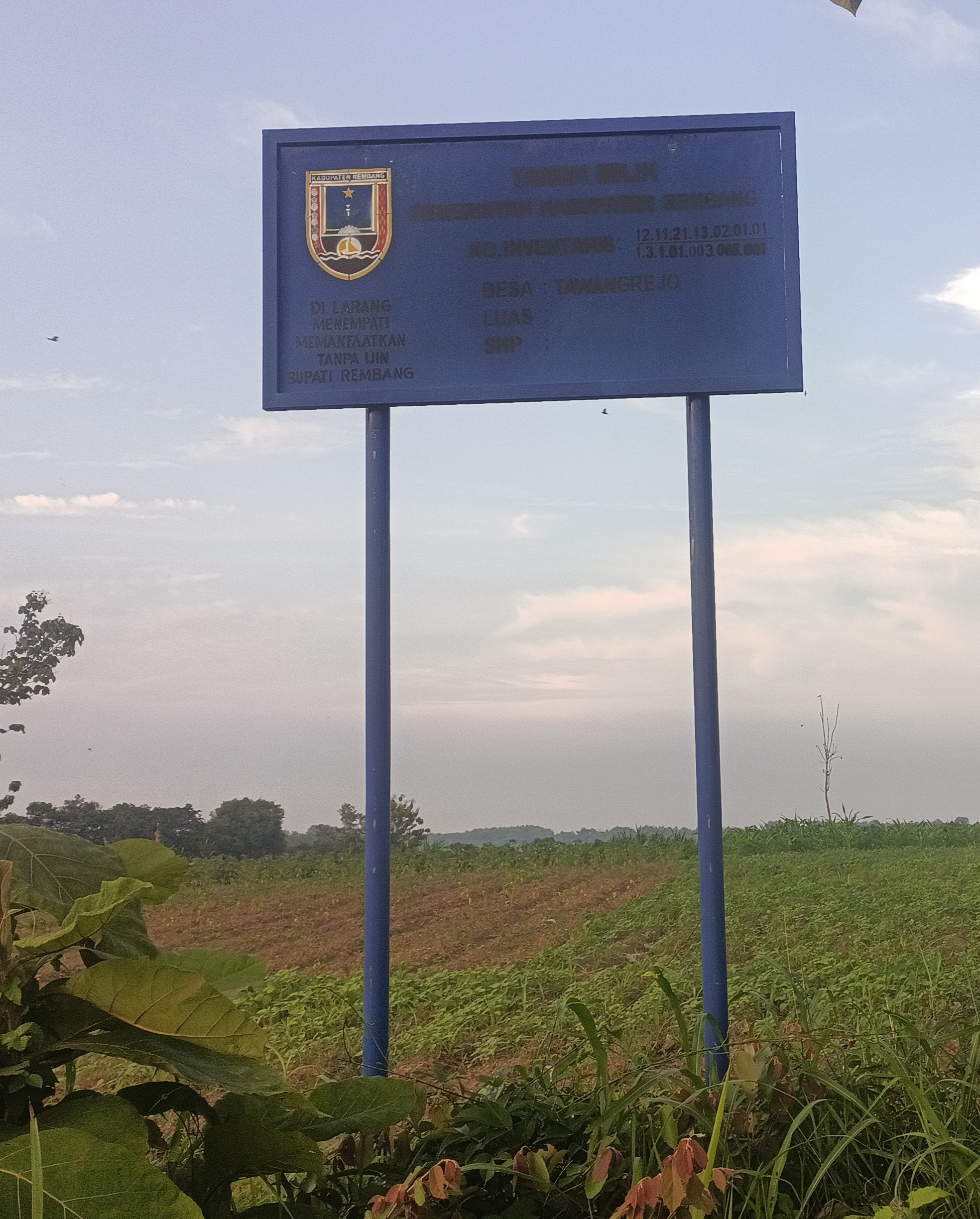 Ketika Aparat Desa Berubah Jadi Penjarah: Tanaman Tebu Dirusak, Pemilik Sah Diusir