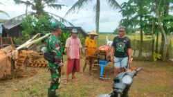 Wujudkan Kemanunggalan TNI Dengan Rakyat, Babinsa Komsos Bersama Petani