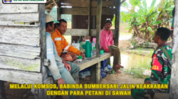 Melalui Komsos, Babinsa Sumbersari Jalin Keakraban dengan Para Petani di Sawah