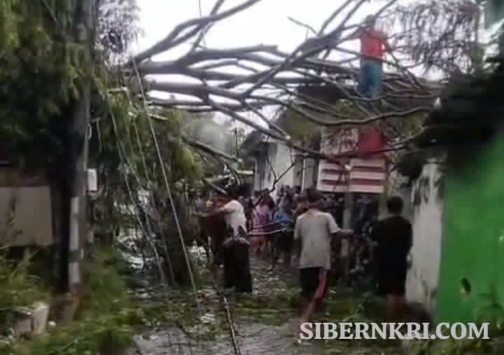 Diterjang Angin Kencang, Puluhan Rumah di Randuputih Probolinggo Rusak hingga Roboh 