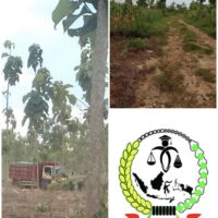 Ketika Alat Berat Lebih Berani dari Aparat Penegak Hukum