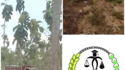 Ketika Alat Berat Lebih Berani dari Aparat Penegak Hukum