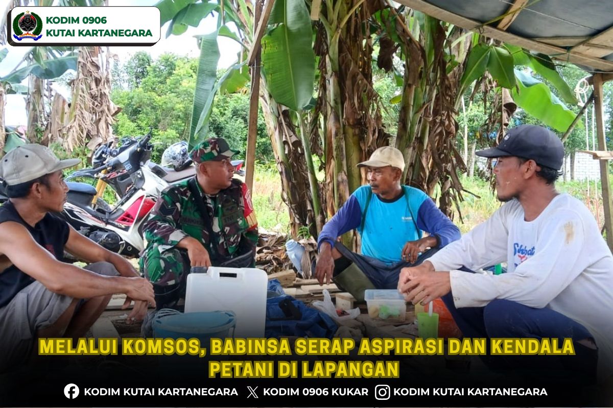 Melalui Komsos, Babinsa Serap Aspirasi dan Kendala Petani di Lapangan Melalui Komsos, Babinsa Serap Aspirasi dan Kendala Petani di Lapangan