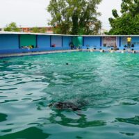 Ukur Kesiapan Jasmani Prajurit, Kodim 0813 Bojonegoro Gelar PSJM