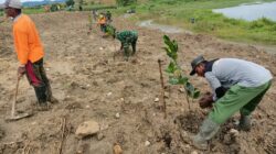 Mitigasi Bencana, Tiga Pilar di Kedungsumber Temayang Bojonegoro Tanam Ratusan Pohon Produktif