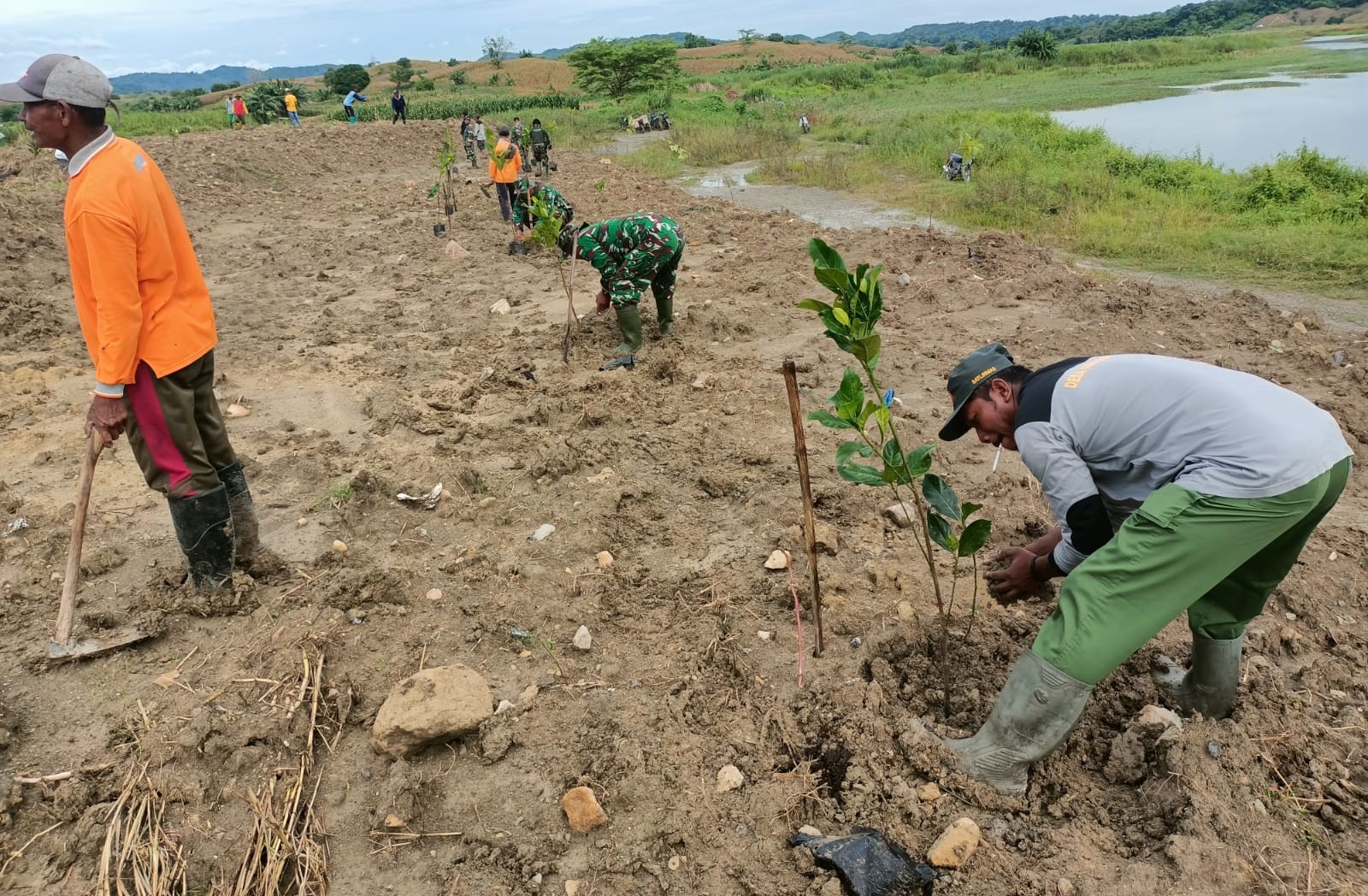 Mitigasi Bencana, Tiga Pilar di Kedungsumber Temayang Bojonegoro Tanam Ratusan Pohon Produktif