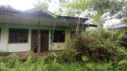 TNI Amankan Senjata dan Munisi Usai Kontak Tembak dengan OPM di Papua Tengah