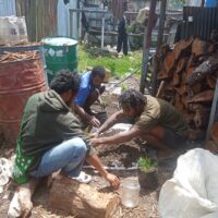 Kodim 1714/Puncak Jaya Bersama Rakyat Tanam Bibit Cemara Sebagai Generasi Mendatang Untuk Kabupaten Puncak Jaya